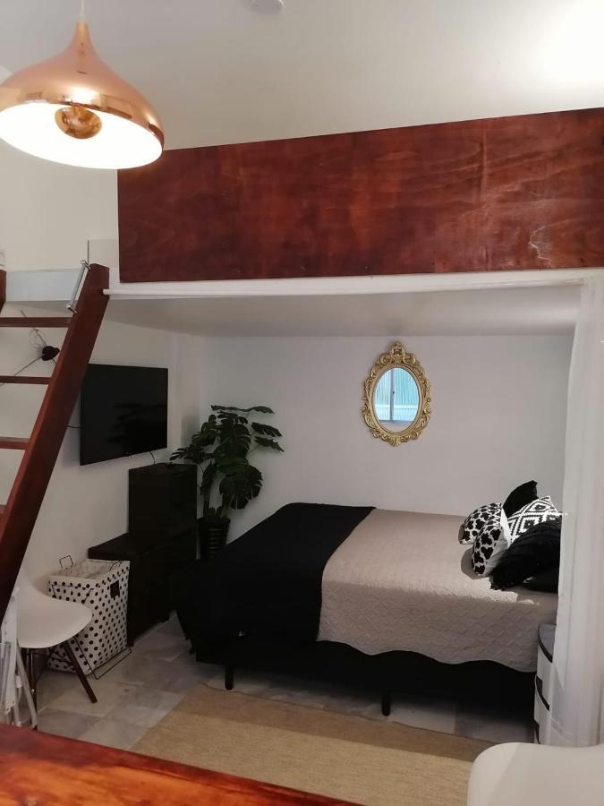 Mini Loft En Rio Apartment Rio de Janeiro Ngoại thất bức ảnh